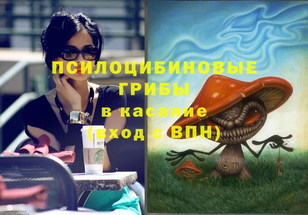 PSILOCYBIN Абаза