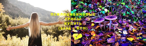 молекула духа Абинск